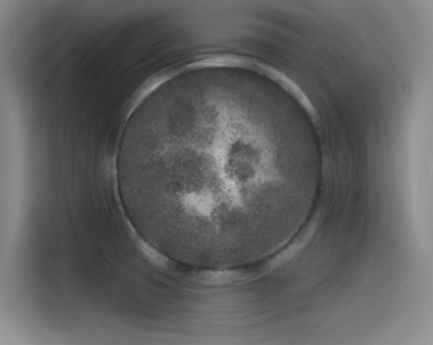 X0000115531425200911061431