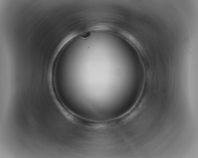 X0000115531426200911061431
