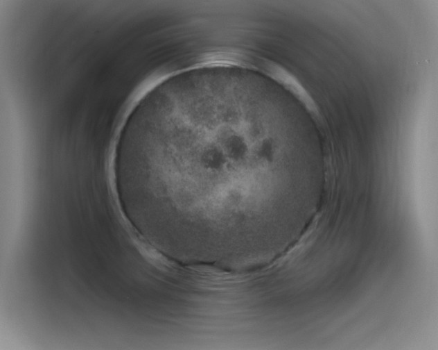 X0000115531427200911061431