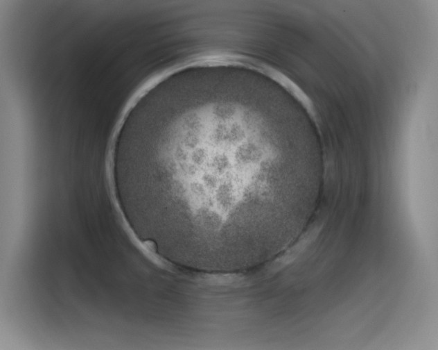 X0000115531429200911061431