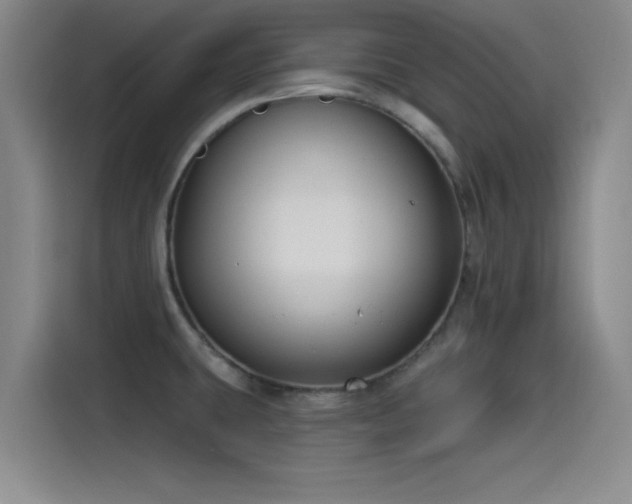 X0000115531431200911061431