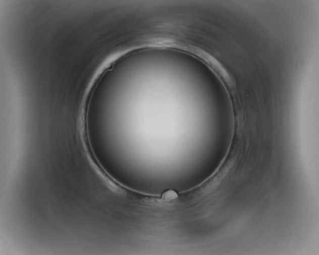 X0000115531432200911061431