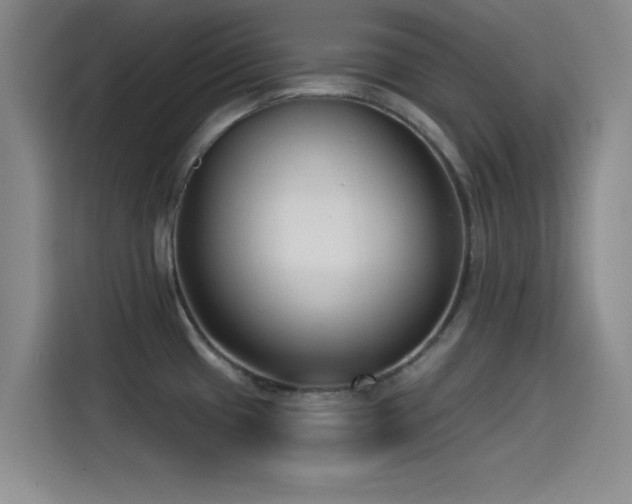 X0000115531433200911061431