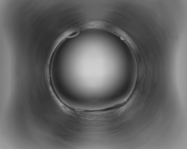 X0000115531434200911061431