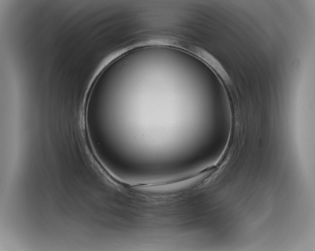 X0000115531436200911061431
