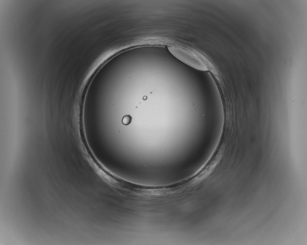 X0000115531438200911061431