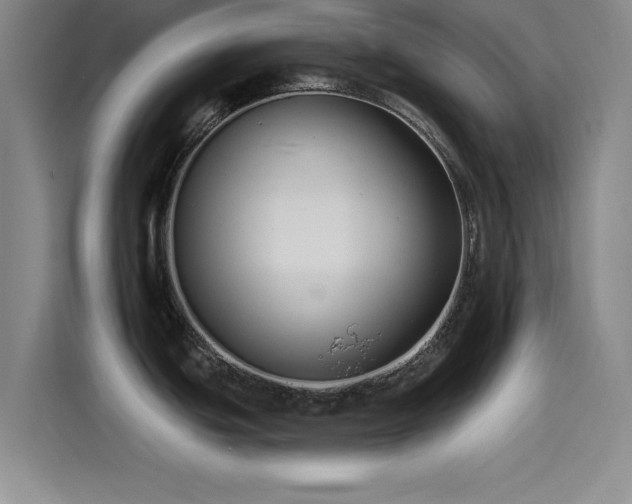 X0000115531439200911061431