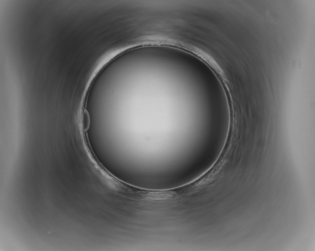 X0000115531440200911061431