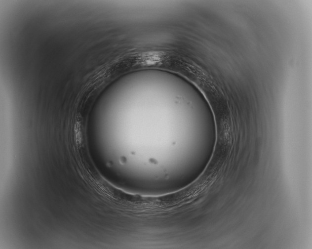 X0000115531442200911061431