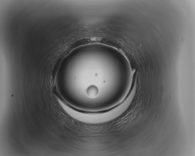 X0000115531443200911061431