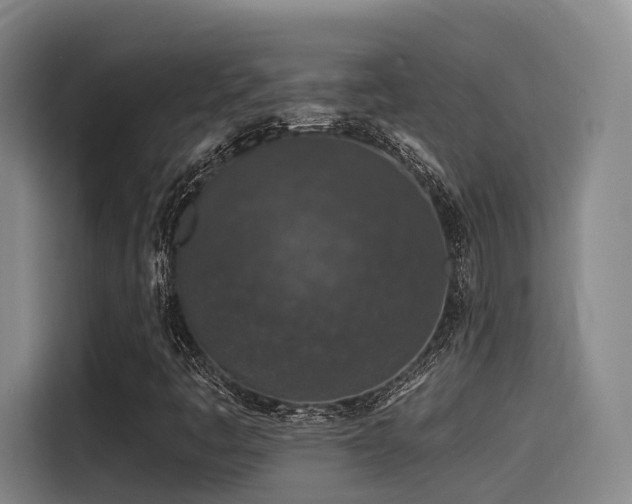 X0000115531445200911061431