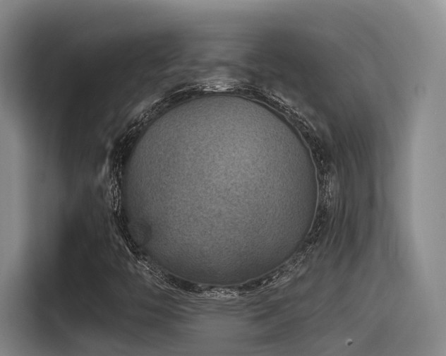 X0000115531446200911061431