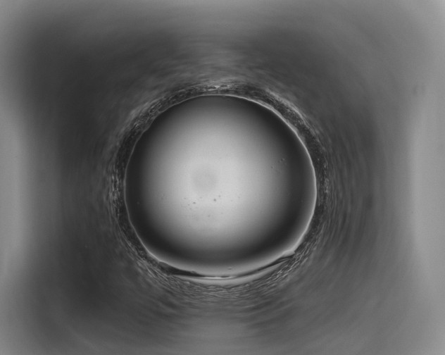 X0000115531447200911061431