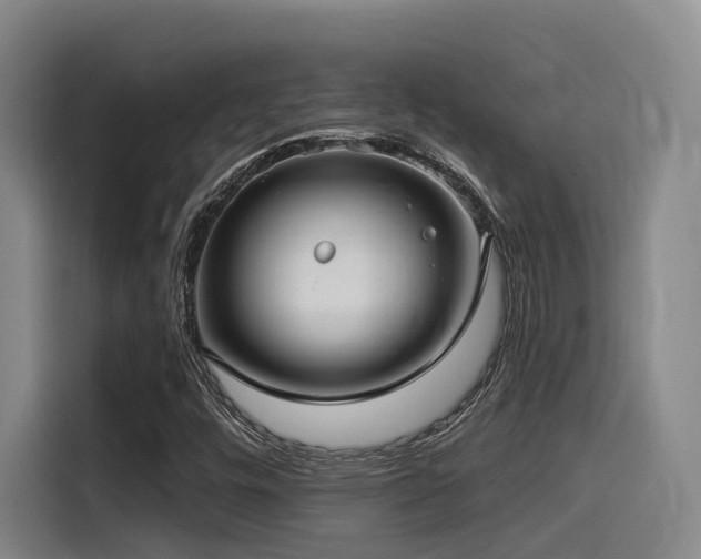 X0000115531448200911061431