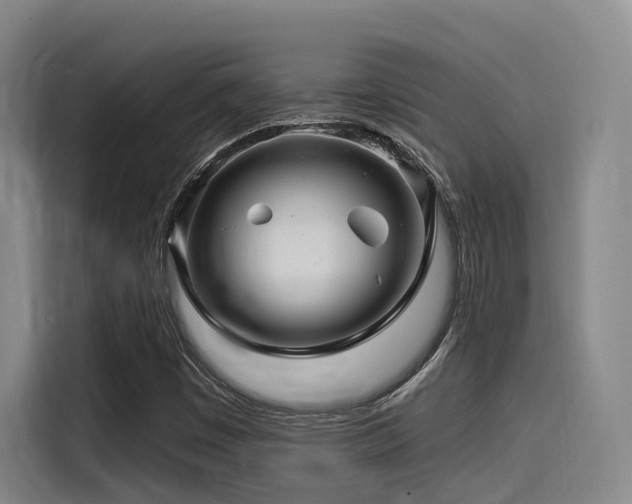 X0000115531449200911061431