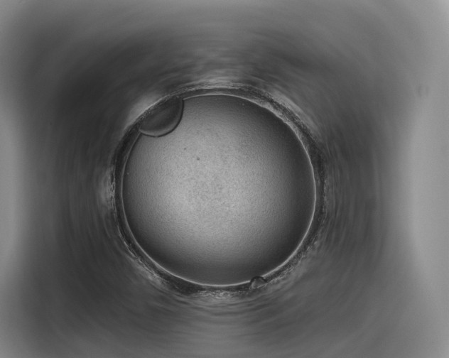 X0000115531450200911061430