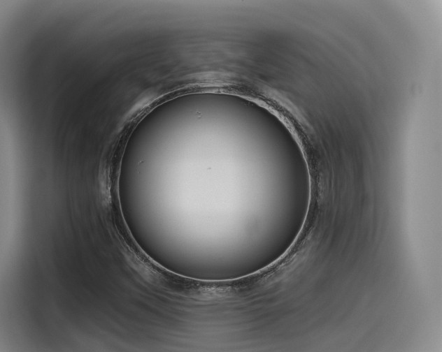 X0000115531451200911061430