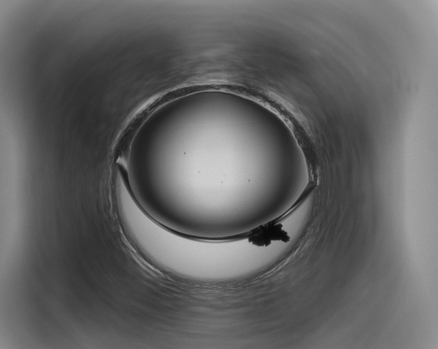 X0000115531452200911061430