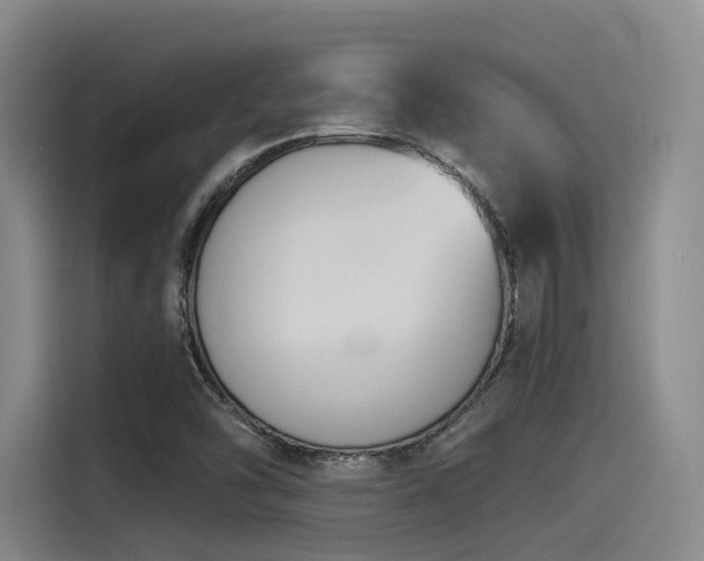 X0000115531454200911061430