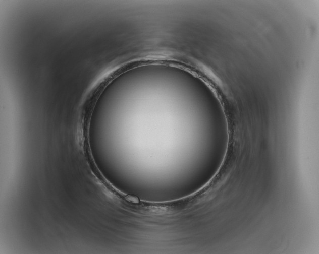 X0000115531456200911061430