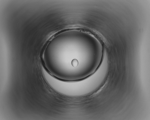 X0000115531457200911061430