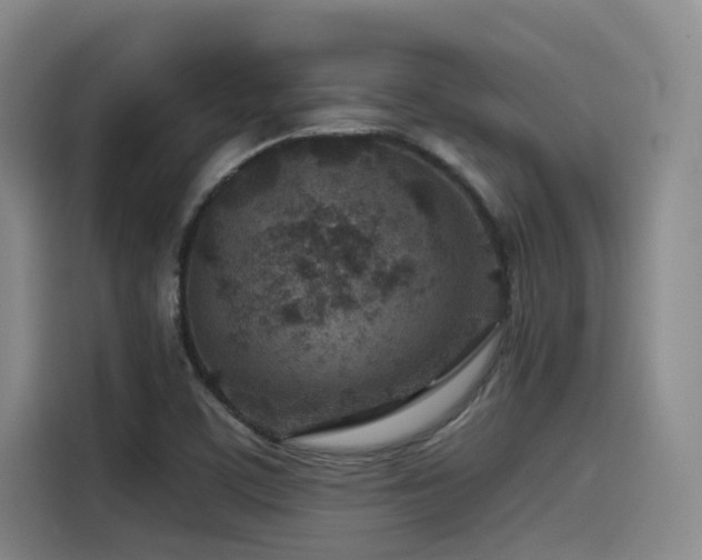 X0000115531459200911061430