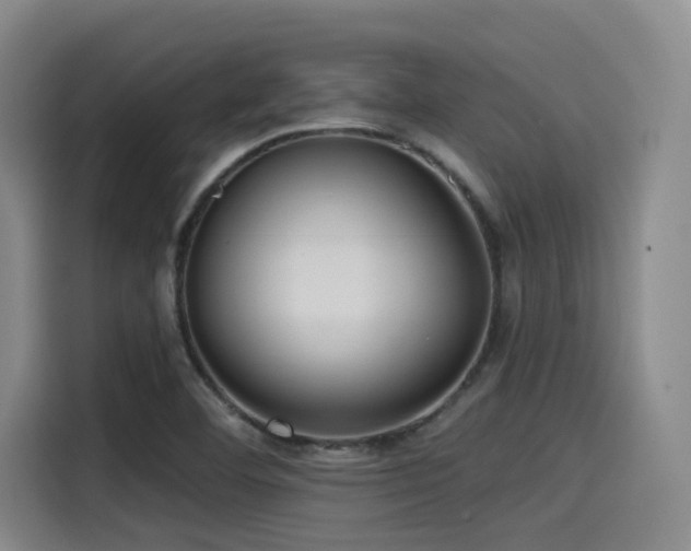 X0000115531460200911061430