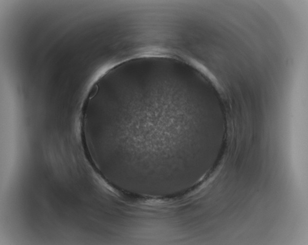X0000115531463200911061430