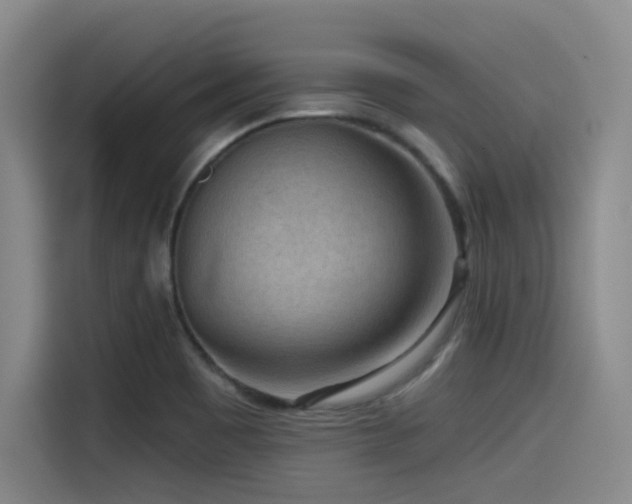 X0000115531465200911061430
