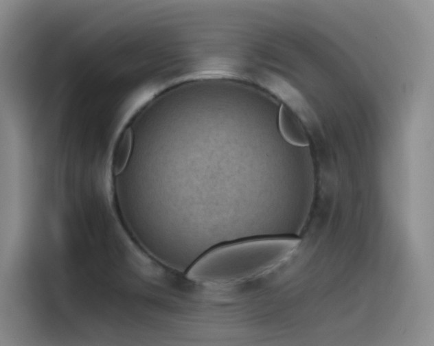 X0000115531469200911061430