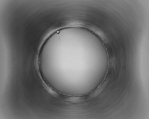 X0000115531470200911061430