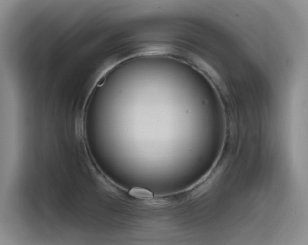 X0000115531473200911061430
