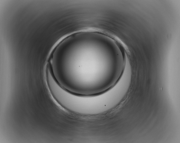 X0000115531476200911061430
