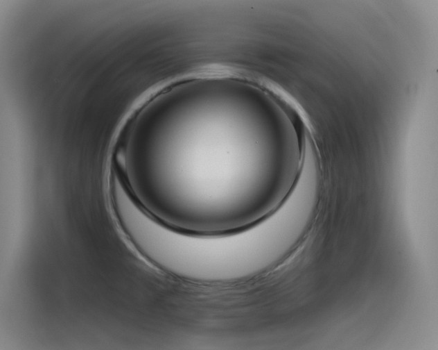 X0000115531477200911061430