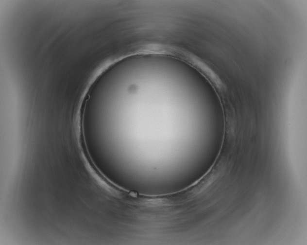 X0000115531479200911061430