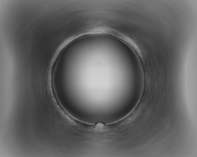 X0000115531480200911061430