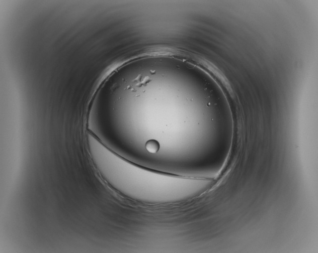 X0000115531481200911061430