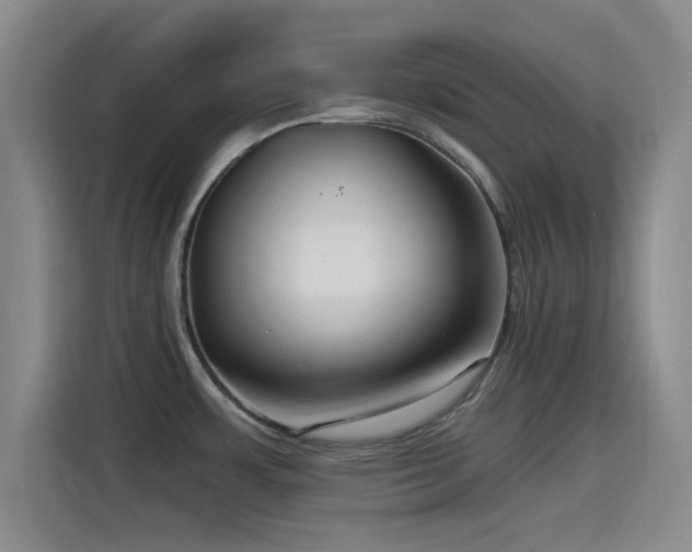 X0000115531483200911061430