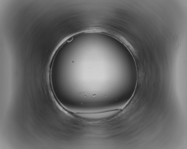 X0000115531484200911061430