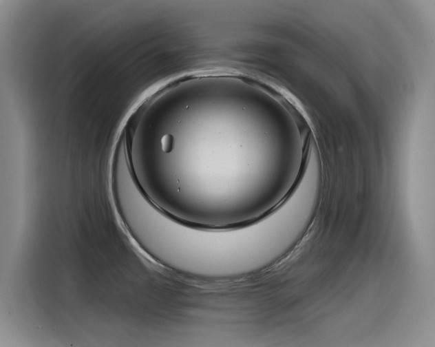 X0000115531485200911061430