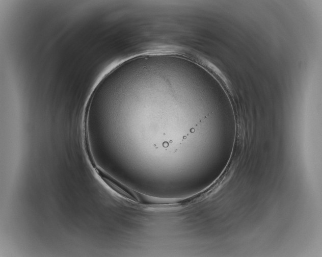 X0000115531487200911061430