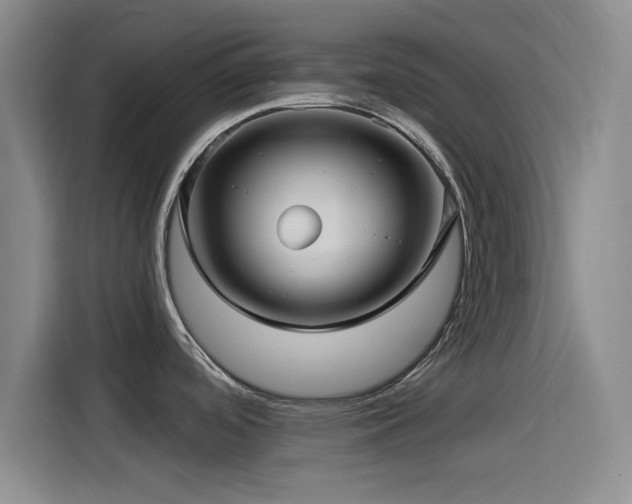 X0000115531488200911061430