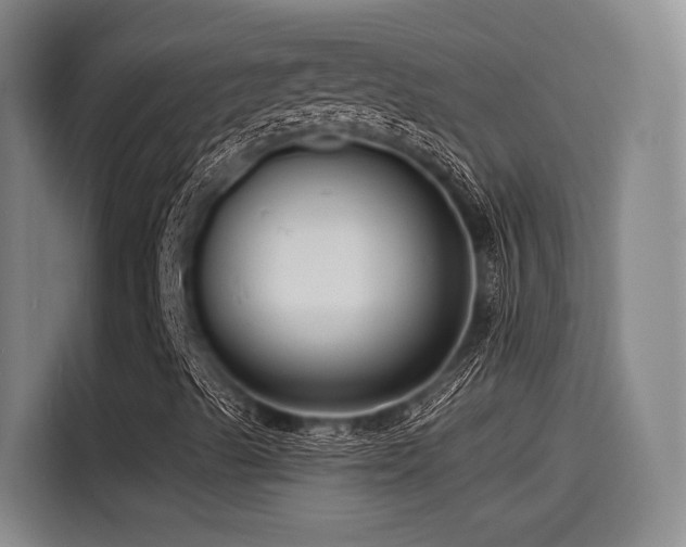 X0000115531489200911061429