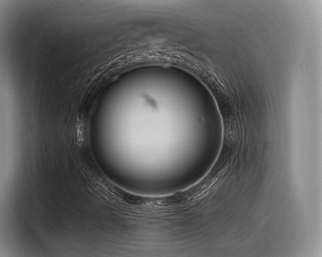 X0000115531490200911061429