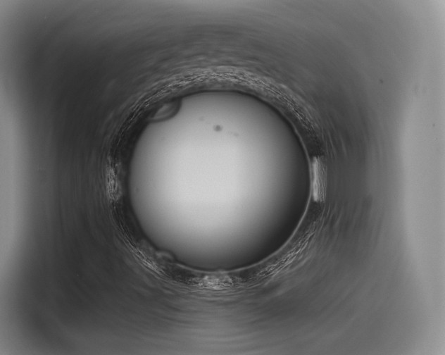 X0000115531491200911061429