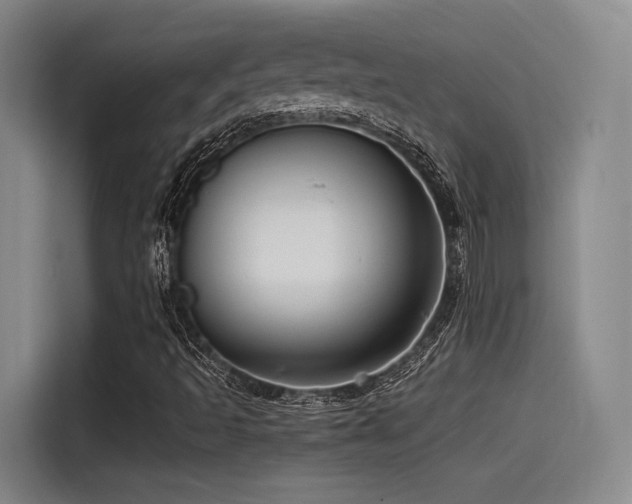 X0000115531493200911061429