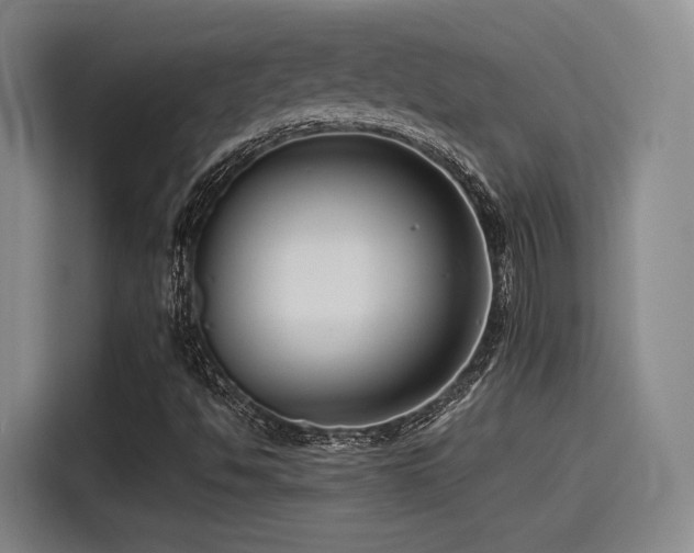 X0000115531494200911061429