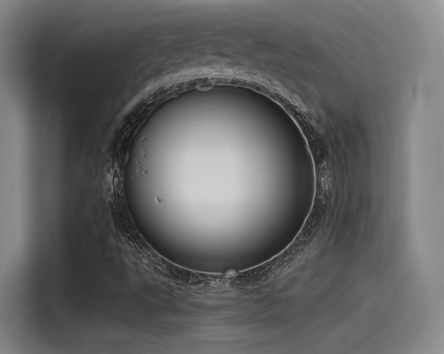 X0000115531495200911061429