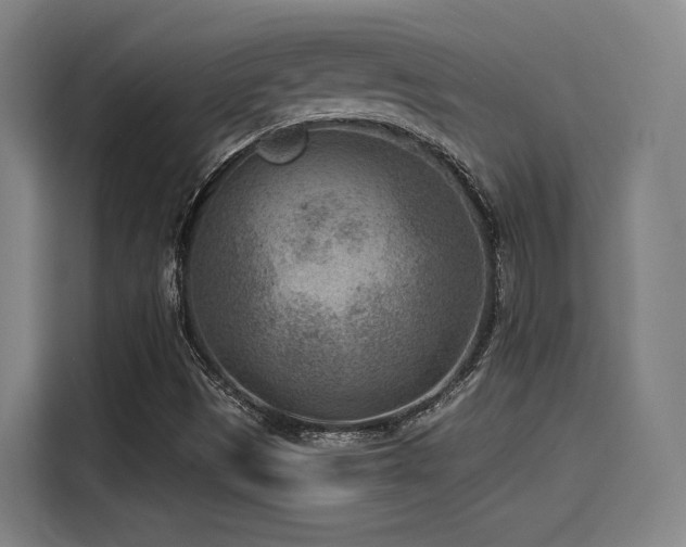 X0000115531497200911061429