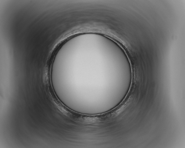 X0000115531498200911061429